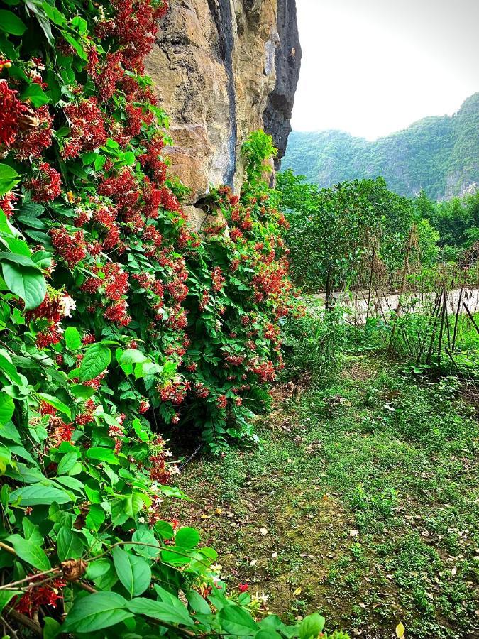 Trang An Valley Bungalow Ninh Binh Esterno foto
